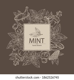Background with mint: plant and leaves of peppermint. Oil, soap and bath salt . Cosmetics and medical plant. Vector hand drawn illustration