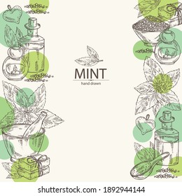 Background with mint: plant and leaves of peppermint. Oil, soap and bath salt . Cosmetics and medical plant. Vector hand drawn illustration
