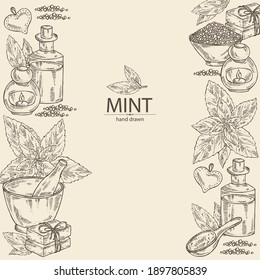 Fondo con menta: planta y hojas de menta. Aceite, jabón y sal de baño. Cosméticos y plantas médicas. Ilustración dibujada a mano por el vector