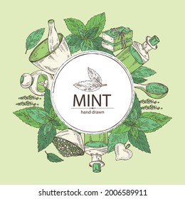 Background with mint: plant and leaves of peppermint. Oil, soap and bath salt . Cosmetics and medical plant. Vector hand drawn illustration