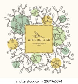 Hintergrund mit Mistelwein: Mistelpflanze, Beeren und Mistelzweig. Viscum Album. Kosmetische und medizinische Pflanze. handgezeichnete Vektorgrafik