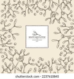 Background with mistletoe: mistletoe plant, berries  and mistletoe branch. Viscum album. Cosmetic and medical plant. Vector hand drawn illustration