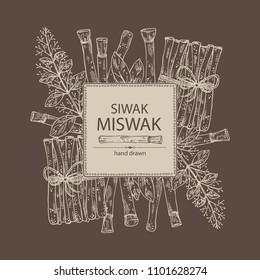 Background with miswak, siwak: natural toothbrush, plant, branch and leaves. Vector hand drawn illustration.