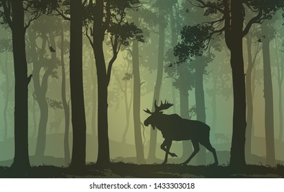 Background with moose walking in the forest, flying birds and deer in the distance, vector illustration