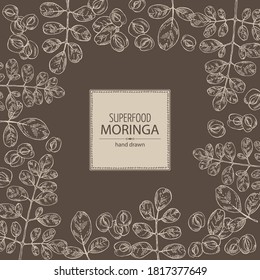 Background with moringa: plant and leaves. Super food. Vector hand drawn illustration.
