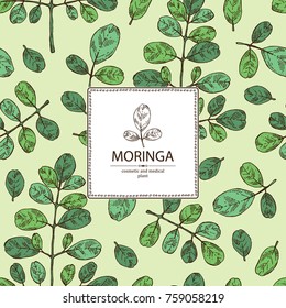 Background with moringa: plant and leaves. Super food. Vector hand drawn illustration.