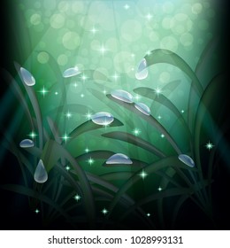 background morning fresh green, dark forest thickets in the sun, dew drops glow Shine in the sun, fairy tale, fantastic background, vector illustration.