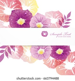 background of morning glory