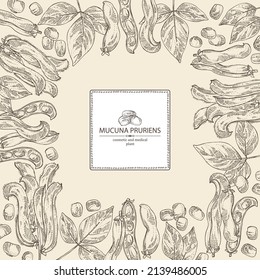 Background with mucuna pruriens : leaves, mucuna pruriens pod and plant. Kapikacchu. Cosmetic, perfumery and medical plant. Vector hand drawn illustration.