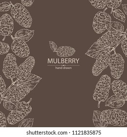 Background with mulberry: berries and leaves. Vector hand drawn illustration