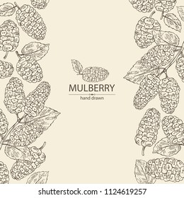 Background with mulberry: berries and leaves. Vector hand drawn illustration