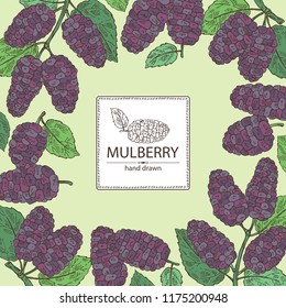 Background with mulberry: berries and leaves. Vector hand drawn illustration