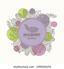 Background with mulberry: berries and leaves. Vector hand drawn illustration