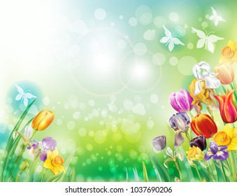 Background with multicolor spring flowers