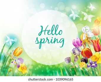 Background with multicolor spring flowers