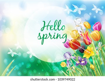 Background with multicolor spring flowers