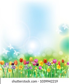 Background with multicolor spring flowers