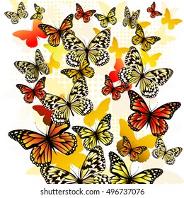 Background multicolored butterflies. Vector