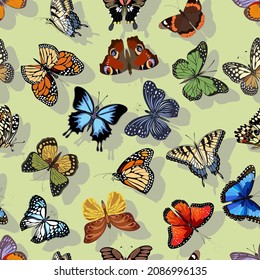 Background with multicolored butterflies.Colored background with multicolored butterflies and shadows in a seamless vector pattern.