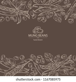 Background with mung beans: leaf, plant, pod and seed of mung beans. Vector hand drawn illustration