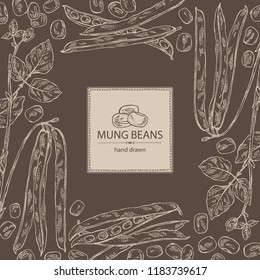 Background with mung beans: leaf, plant, pod and seed of mung beans. Vector hand drawn illustration