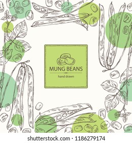 Background with mung beans: leaf, plant, pod and seed of mung beans. Vector hand drawn illustration