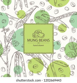 Background with mung beans: leaf, plant, pod and seed of mung beans. Vector hand drawn illustration