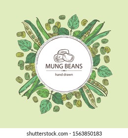 Background with mung beans: leaf, plant, pod and seed of mung beans. Vector hand drawn illustration