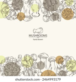 Background with  mushroom: nameko pholiota, eringi, tremella fuciformis and maitake. Vector hand drawn illustration