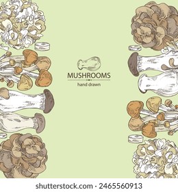 Background with  mushroom: nameko pholiota, eringi, tremella fuciformis and maitake. Vector hand drawn illustration