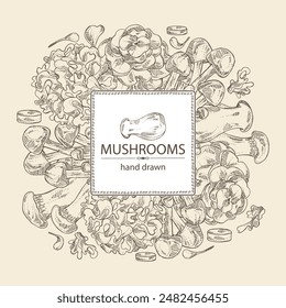 Background with  mushroom: nameko pholiota, eringi, tremella fuciformis and maitake. Vector hand drawn illustration