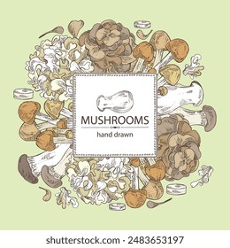 Background with  mushroom: nameko pholiota, eringi, tremella fuciformis and maitake. Vector hand drawn illustration