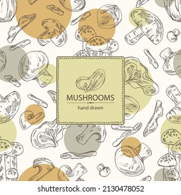 Background with mushroom: shiitake, muer, champignon and shimedji. Vector hand drawn illustration