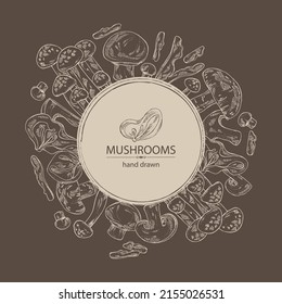 Background with mushroom: shiitake, muer, champignon and shimedji. Vector hand drawn illustration