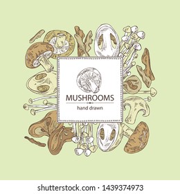 Background with mushroom: shiitake, muer, straw mushroom cao gu and enokitake. Vector hand drawn illustration