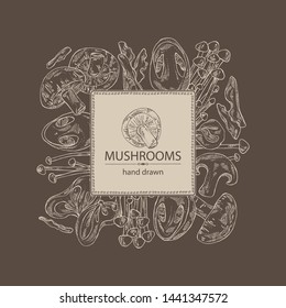 Background with mushroom: shiitake, muer, straw mushroom cao gu and enokitake. Vector hand drawn illustration