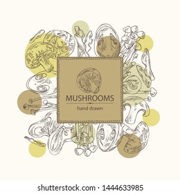 Background with mushroom: shiitake, muer, straw mushroom cao gu and enokitake. Vector hand drawn illustration