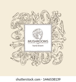 Background with mushroom: shiitake, muer, straw mushroom cao gu and enokitake. Vector hand drawn illustration