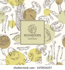 Background with mushroom: shiitake, muer, straw mushroom cao gu and enokitake. Vector hand drawn illustration