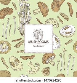 Background with mushroom: shiitake, muer, straw mushroom cao gu and enokitake. Vector hand drawn illustration