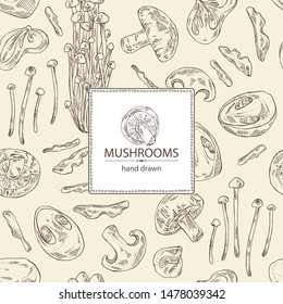 Background with mushroom: shiitake, muer, straw mushroom cao gu and enokitake. Vector hand drawn illustration