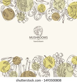 Background with mushroom: shiitake, muer, straw mushroom cao gu and enokitake. Vector hand drawn illustration