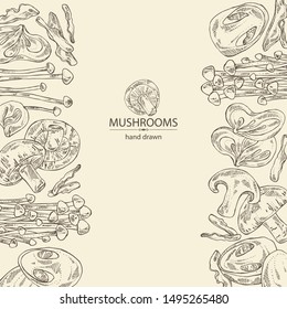 Background with mushroom: shiitake, muer, straw mushroom cao gu and enokitake. Vector hand drawn illustration