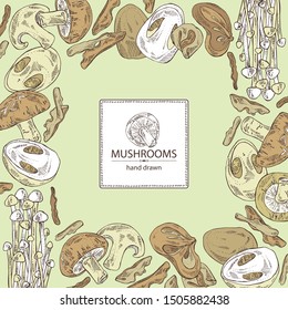 Background with mushroom: shiitake, muer, straw mushroom cao gu and enokitake. Vector hand drawn illustration