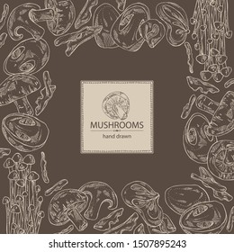 Background with mushroom: shiitake, muer, straw mushroom cao gu and enokitake. Vector hand drawn illustration