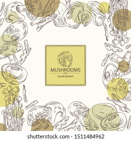 Background with mushroom: shiitake, muer, straw mushroom cao gu and enokitake. Vector hand drawn illustration