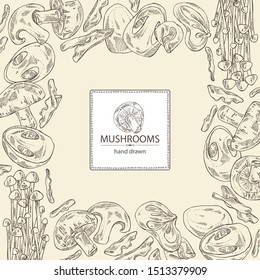 Background with mushroom: shiitake, muer, straw mushroom cao gu and enokitake. Vector hand drawn illustration