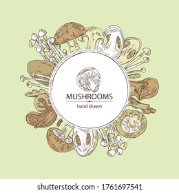 Background with mushroom: shiitake, muer, straw mushroom cao gu and enokitake. Vector hand drawn illustration