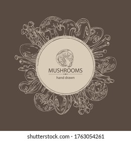 Background with mushroom: shiitake, muer, straw mushroom cao gu and enokitake. Vector hand drawn illustration