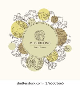 Background with mushroom: shiitake, muer, straw mushroom cao gu and enokitake. Vector hand drawn illustration